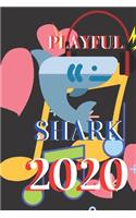Playful shark 2020