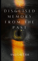 Disguised Memory From The Past