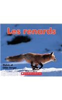 Les Renards