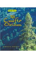 Conifer Division