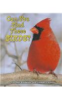 Can You Find These Birds?