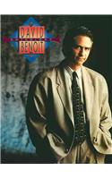 David Benoit Anthology