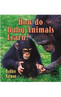 How Do Baby Animals Learn?