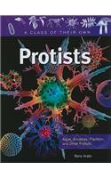 Protists: Algae, Amoebas, Plankton, and Other Protists