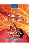 Animals Adaptations