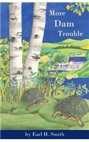 More Dam Trouble