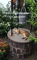 mio migliore amico era un gatto