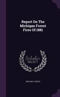 Report On The Michigan Forest Fires Of 1881
