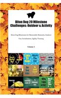 Biton Dog 20 Milestone Challenges: Outdoor & Activity Biton Dog Milestones for Memorable Moments, Outdoor Fun, Socialization, Agility, Training Volume 3