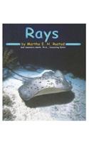 Rays [Scholastic]