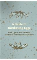 Guide to Incubating Eggs - With Tips on Bird's Natural Incubation and Artificial Incubation