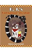 B. J.'s Underground Adventure