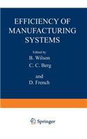 Efficiency of Manufacturing Systems