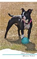 Border Collie Affirmations Workbook Border Collie Presents: Positive and Loving Affirmations Workbook. Includes: Mentoring Questions, Guidance, Supporting You.