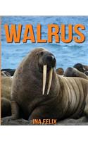 Walrus