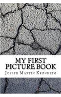 My First Picture Book