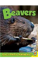 Beavers