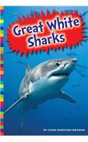 Great White Sharks