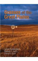 Grasses of the Great Plains