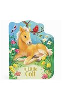 A Little Colt