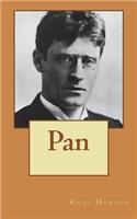 Pan