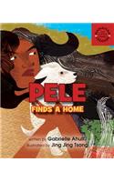 Pele Finds a Home