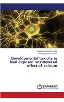 Developmental Toxicity in Lead Exposed Rats