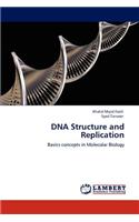 DNA Structure and Replication