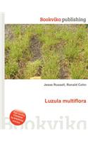 Luzula Multiflora: (English)