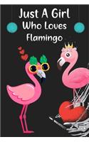 Cute Notebook.Flamingo Notebook Wide Ruled Journal Set For Girls, Little Girl. Pink Flamingo Watercolor. (Wide Ruled )