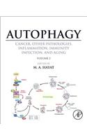 Autophagy: Cancer, Other Pathologies, Inflammation, Immunity, Infection, and Aging