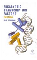 Eukaryotic Transcription Factors