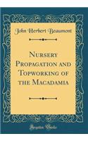 Nursery Propagation and Topworking of the Macadamia (Classic Reprint)