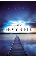 Value Outreach Bible-NIV