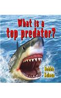 What is a top predator?: (Big Science Ideas)