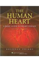 Human Heart