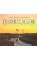 The Great Marsh