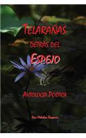 Telaranas Detras del Espejo