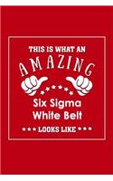 This is What an Amazing Six Sigma White Belt Look Like