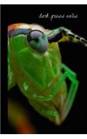 Dark Grass Notes