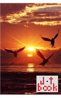 The Jot Book(tm) - A Notebook, Journal, or Composition Book for Your Jots - Light Series - 016