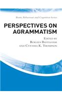 Perspectives on Agrammatism