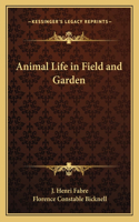 Animal Life in Field and Garden