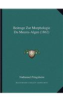 Beitrage Zur Morphologie Du Meeres-Algen (1862)