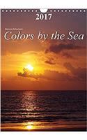 Colors by the Sea 2017: Fascinating Colors of Nature(Calvendo Nature)
