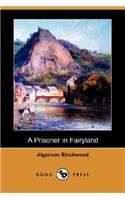 A Prisoner in Fairyland (Dodo Press)