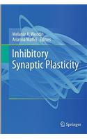 Inhibitory Synaptic Plasticity