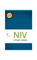 NIV Study Bible Hardback