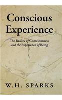 Conscious Experience