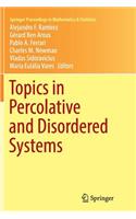 Topics in Percolative and Disordered Systems